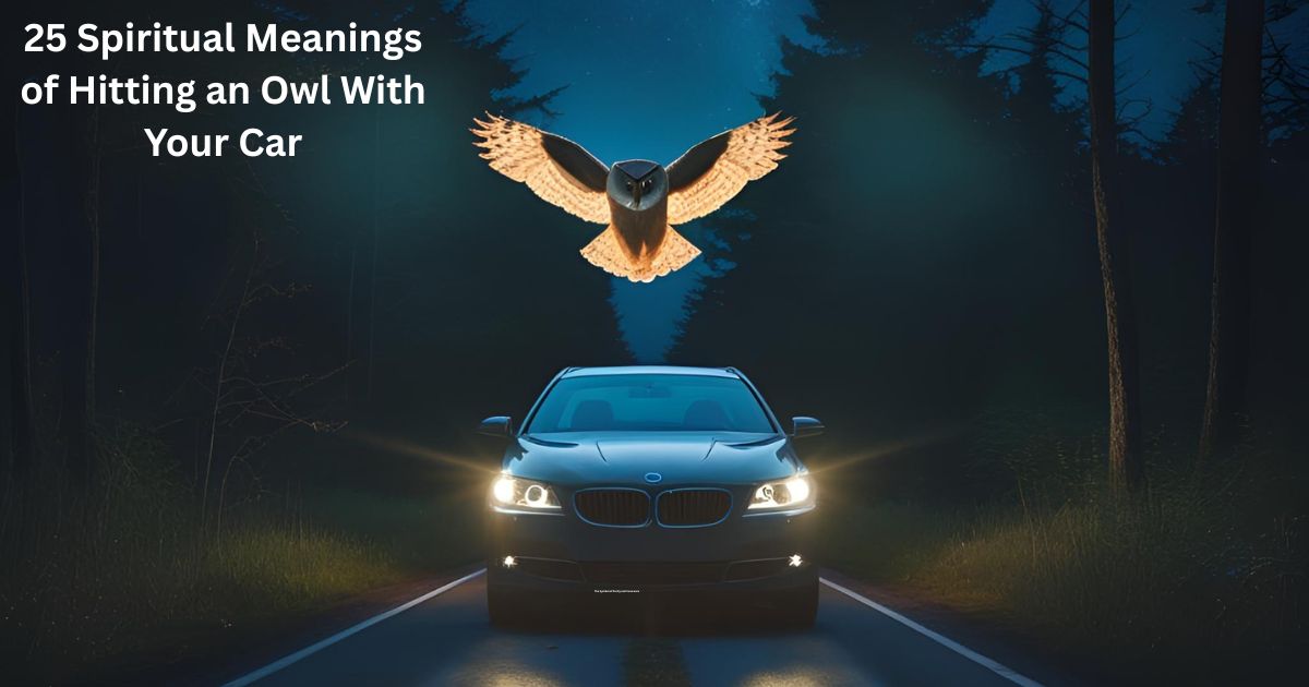 "A symbolic and mystical nighttime scene of a car on a quiet forest road, with an owl in mid-flight illuminated by headlights. The moment is frozen in time, with a soft spiritual glow around the owl, suggesting deeper meaning. Surround the scene with subtle spiritual symbols — such as feathers, the moon, third eye, and energy waves — to hint at intuition, omens, and transformation. Use a dark, moody color palette with accents of silver, blue, and ethereal light to evoke mystery and spiritual significance."