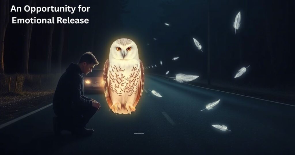 An Opportunity for Emotional Release