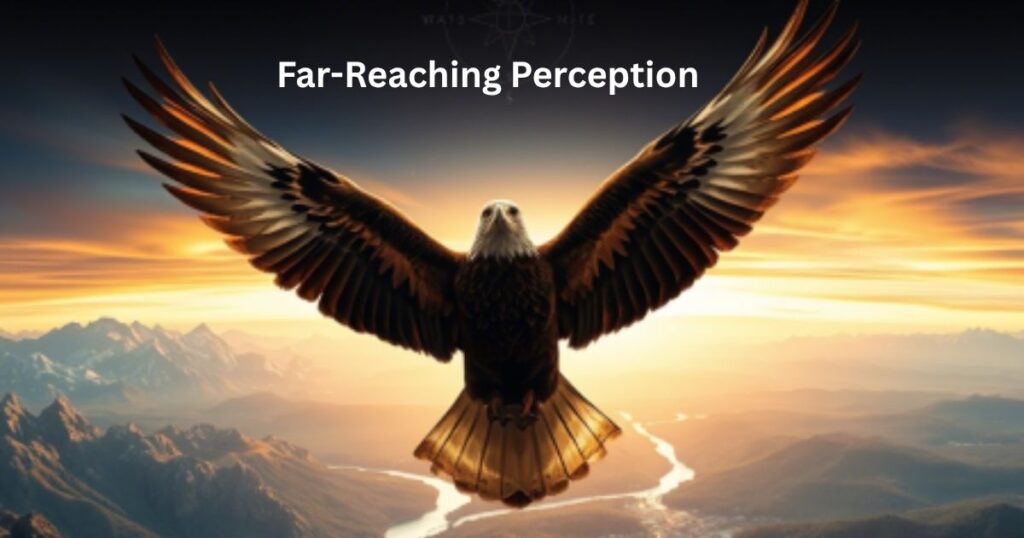 Far-Reaching Perception